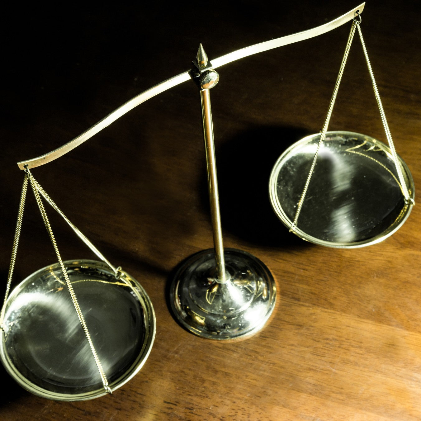 Expert Witness